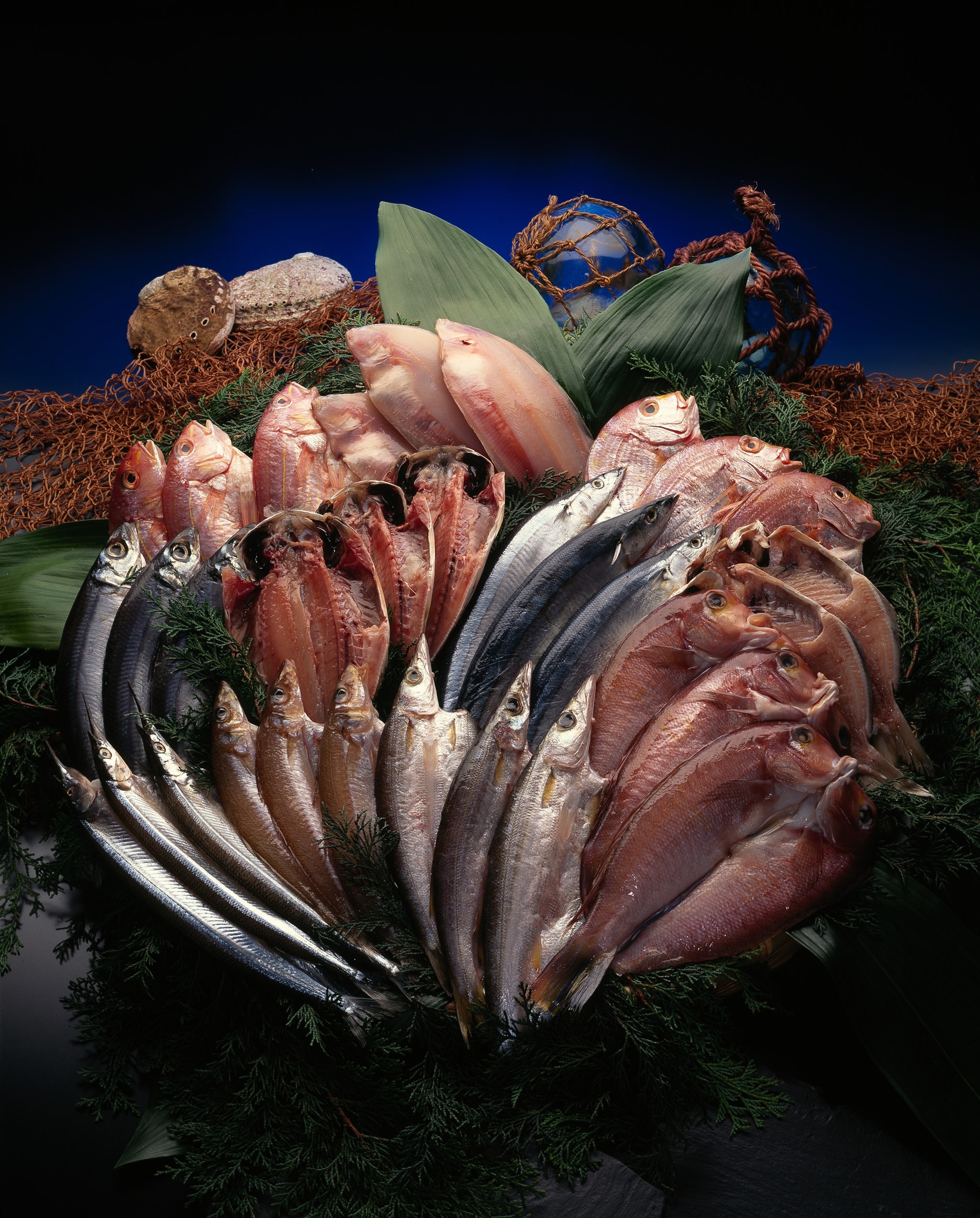 ひものビジュアル