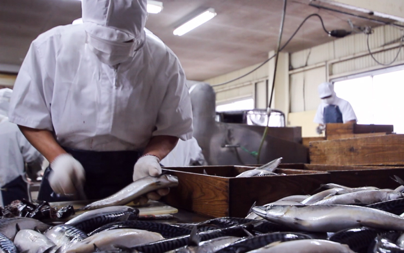 灰干し製法フロー