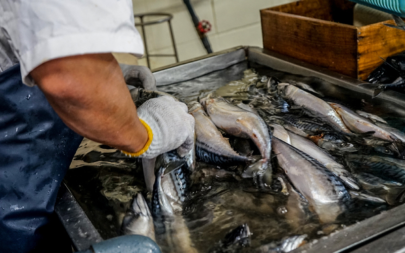 灰干し製法フロー