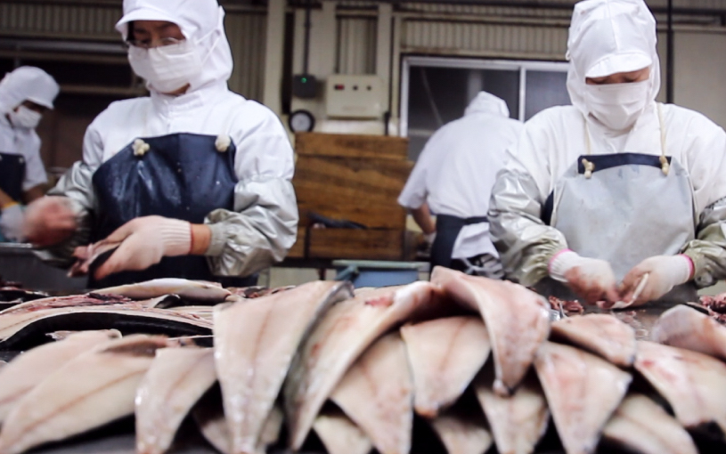 灰干し製法フロー